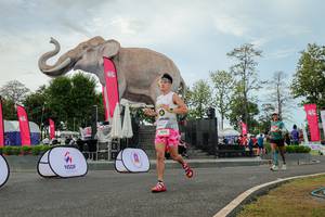 BIB: 
                            <button type="button" onclick="openModal(26528776)" class="btn btn-primary btn-sm float-right btn-popup" data-toggle="modal" data-target=".modal-high-quality">
                        <i class="fas fa-shopping-cart"></i> Add to Cart
                    </button>
                                            <button type="button" onclick="isThisMe(26528776, true)" class="btn btn-success btn-sm float-right btn-popup btn-isme hidden" data-toggle="tooltip" data-placement="bottom" title="นี่คือรูปของคุณใช่ไหม คลิกที่นี่เพื่อเอาเข้าอัลบั้ม">
                        <i class="fas fa-plus"></i> Add to album
                    </button>
                    <button type="button" onclick="isThisMe(26528776, false)" class="btn btn-warning btn-sm float-right btn-popup btn-isnotme hidden">
                        <i class="fas fa-ban"></i> Remove from album
                    </button>